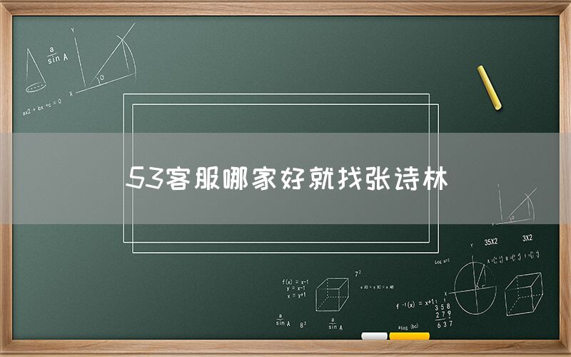 53客服哪家好就找张诗林