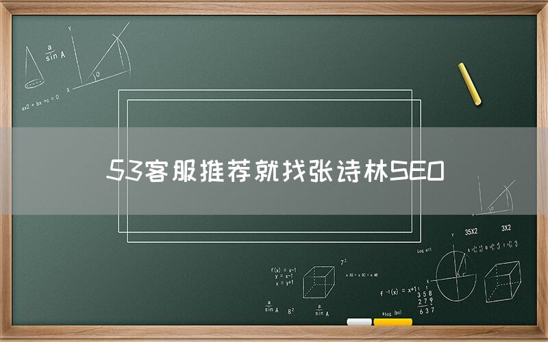 53客服推荐就找张诗林SEO