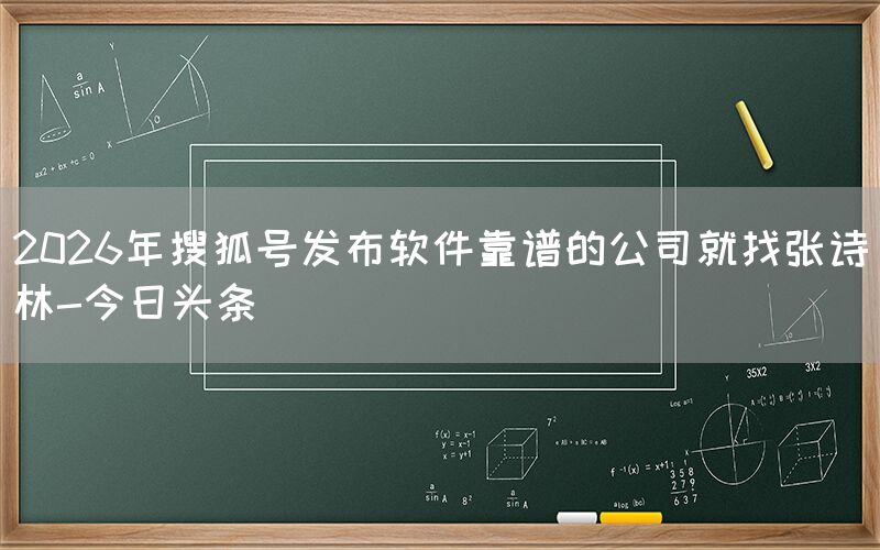 2026年搜狐号发布软件靠谱的公司就找张诗林-今日头条